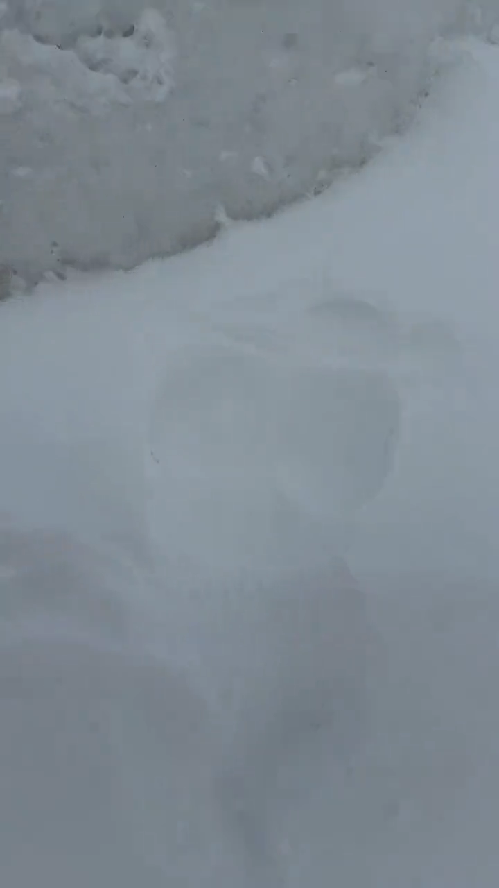 videoframe_4203.png