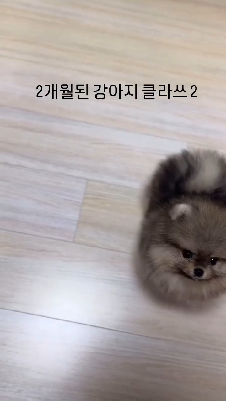 videoframe_8712.png