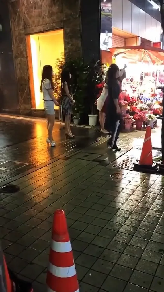 videoframe_369.png