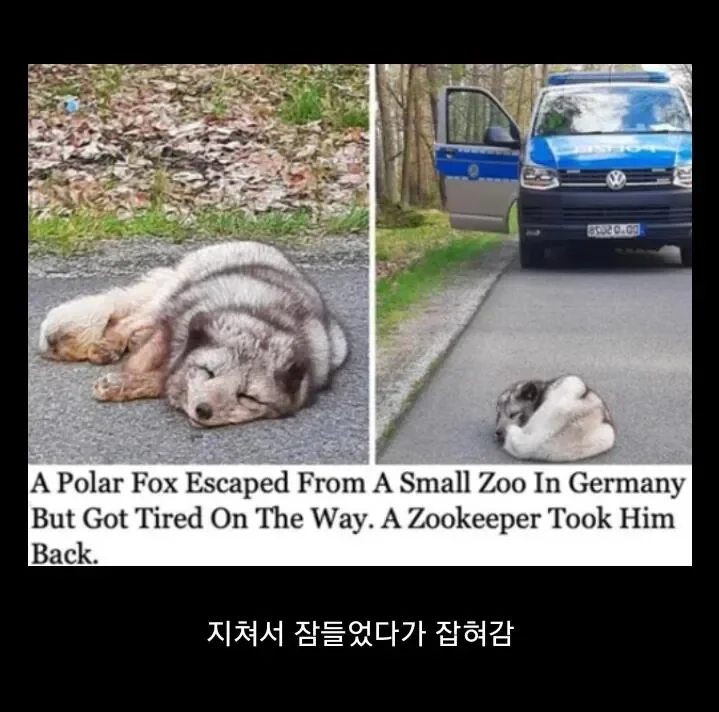20260222144602_VgMtps6y18.webp
