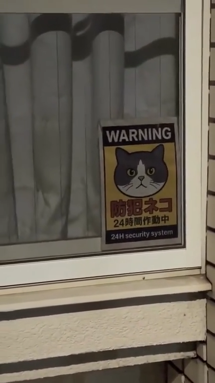 videoframe_4177.png