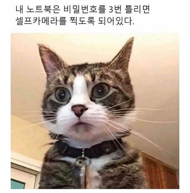 DAwZ1764234357_78909101.jpg