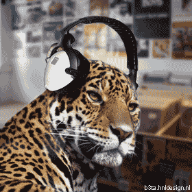 1_cafe_2008_05_13_16_07_48293e2918d1a.gif