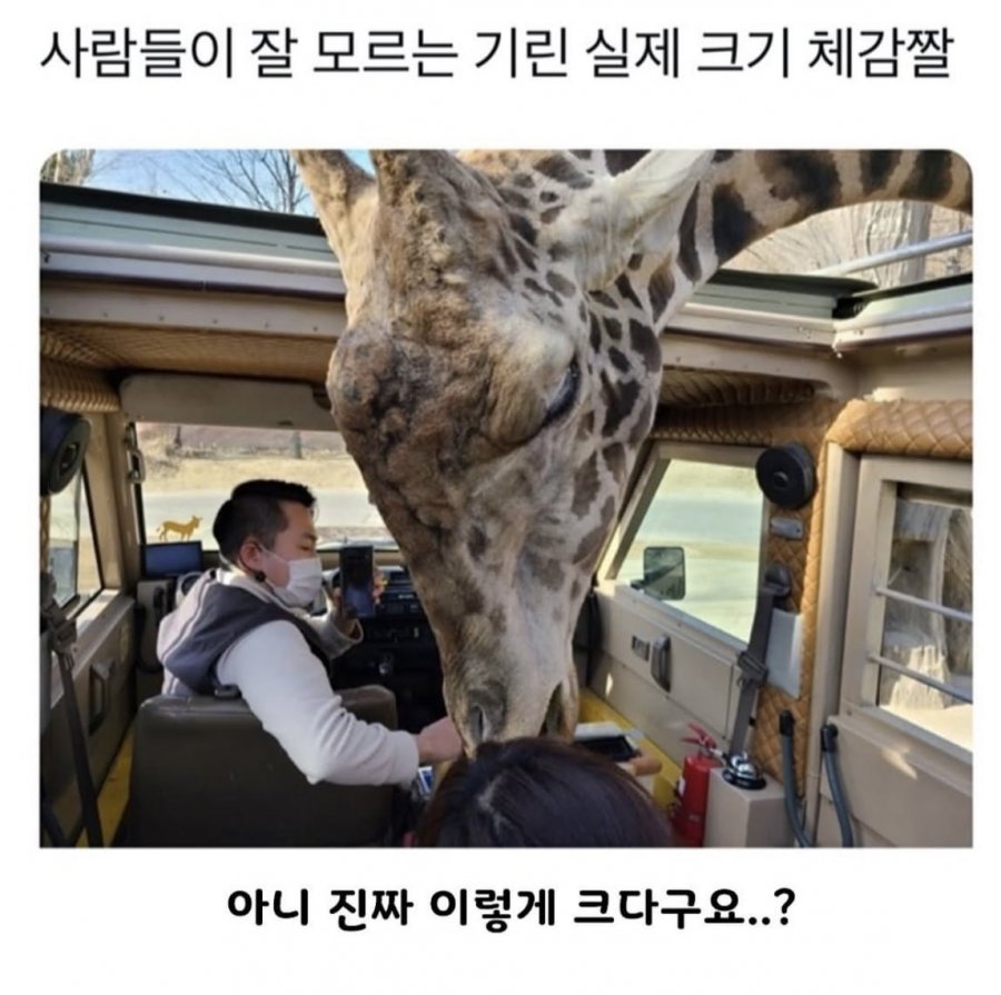 900w_20260121174733_JNBwsna7MW.png