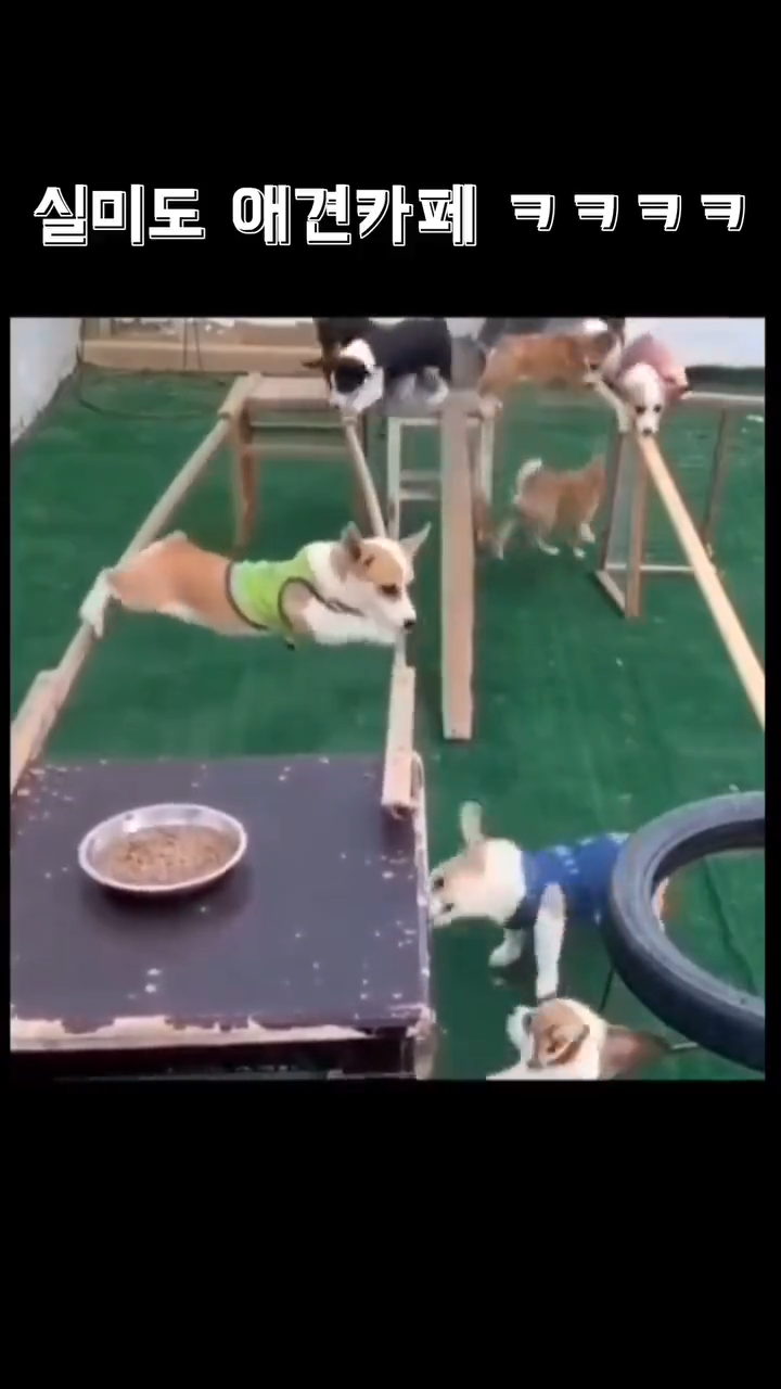 videoframe_9284.png