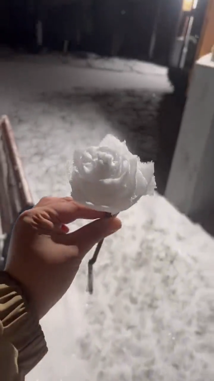 videoframe_17400.png