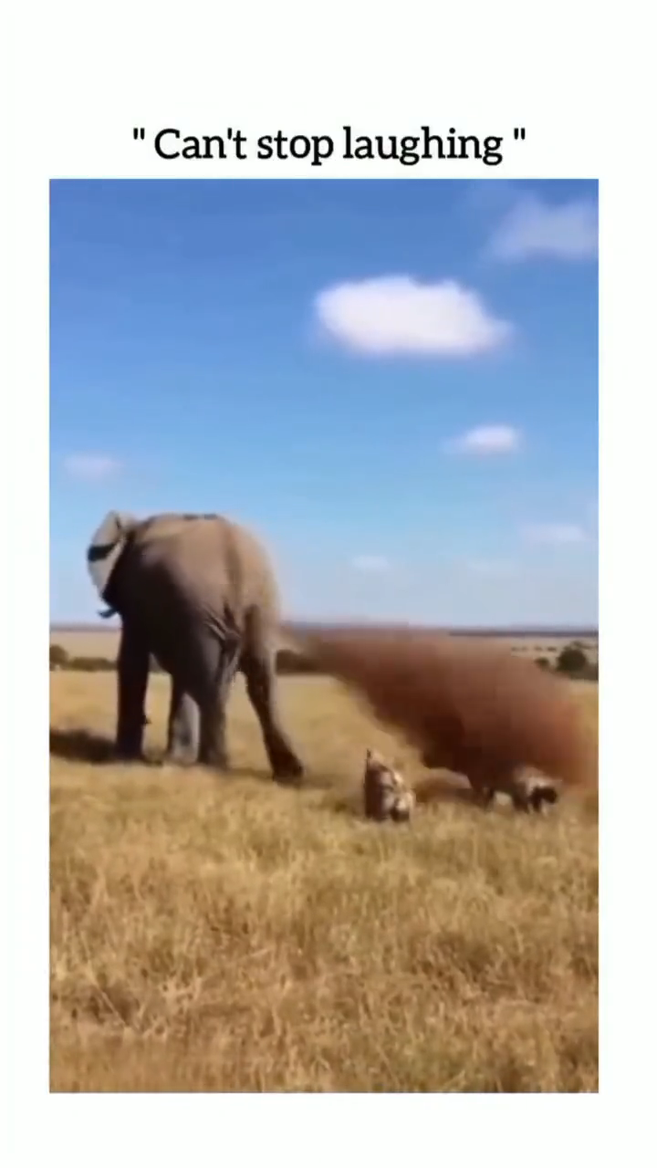 videoframe_1809.png