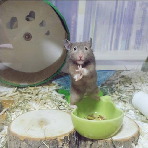2_카톡짤_3 1.png