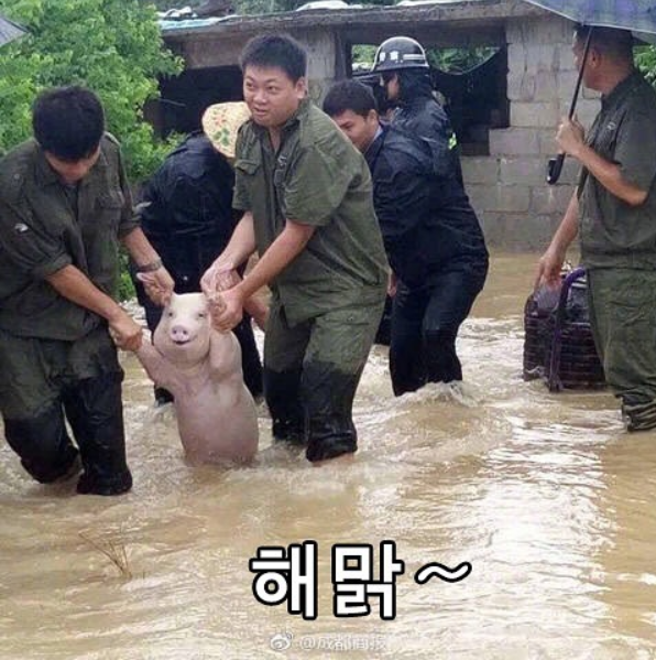 3_웃긴사진_웃긴짤_4.png