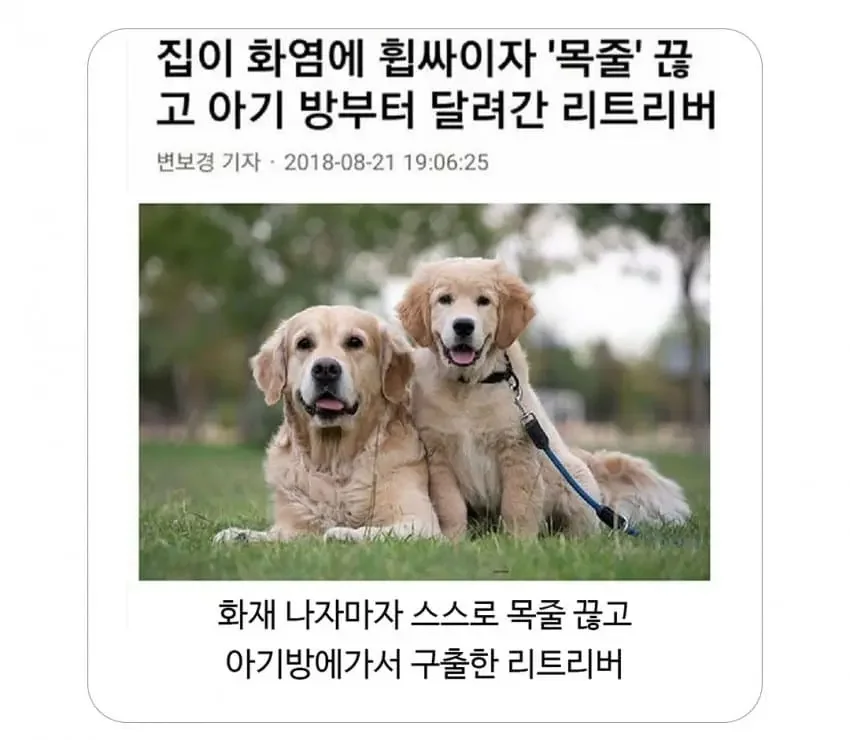 20251217200830_EVIveXbwkK.webp