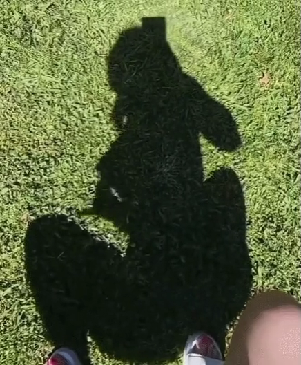 videoframe_692.png