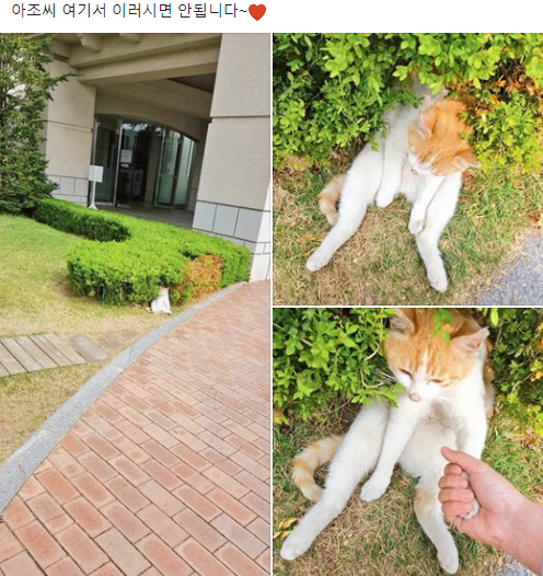 4_카톡짤_짤모음_1.png