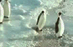 다운로드.gif