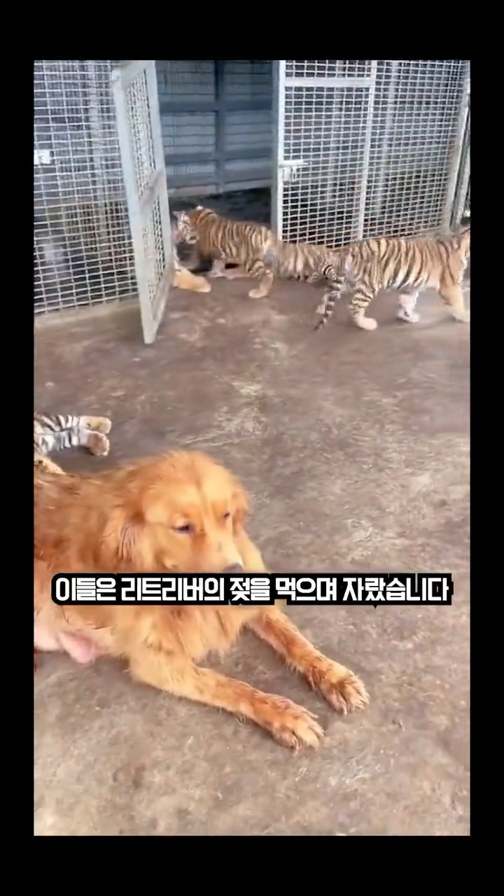 videoframe_17111.png