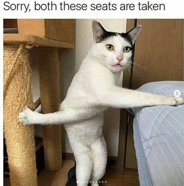 1_짤모음_5.png
