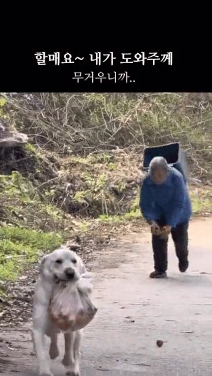 videoframe_3659.png