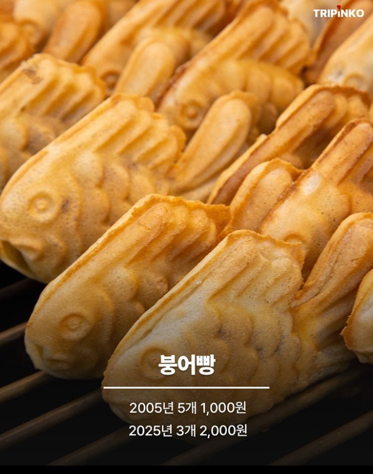 20251209144602_THrXojmyYo.jpg