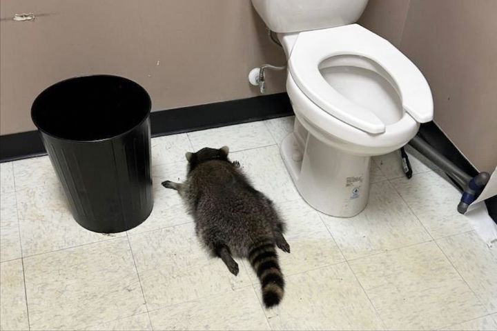 20251203192600_aV5iOCkGbM.jpg