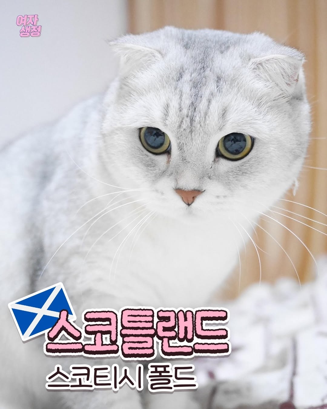 dfcaf601c88cab27d9b74127bee38604.jpg