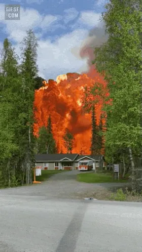 videoframe_10905.png