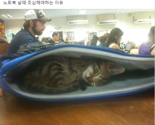 2_카톡짤_2.png