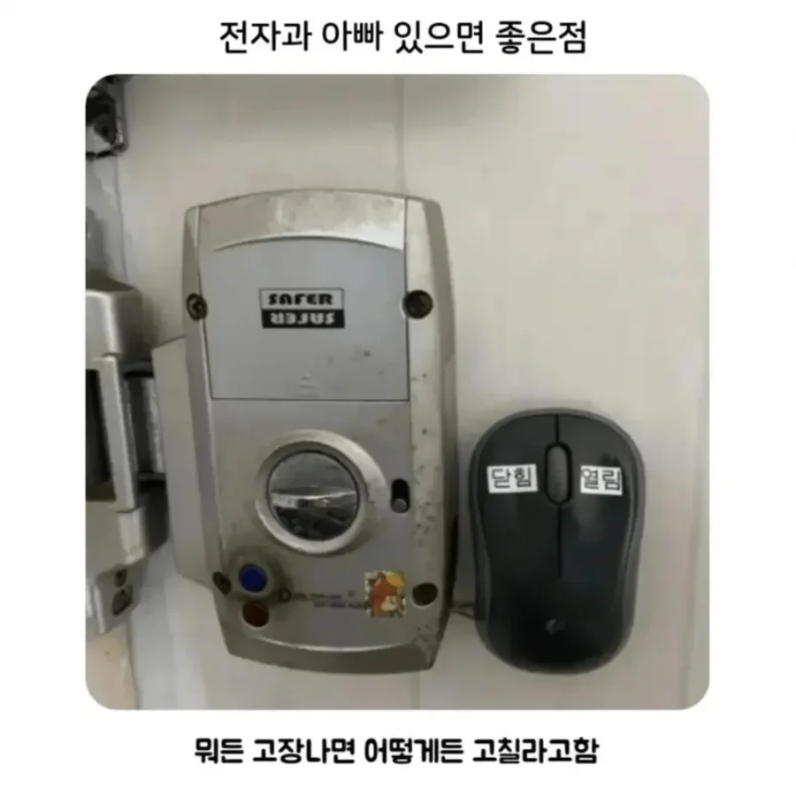 900w_20251207131706_aP3tP2Mpiy.webp