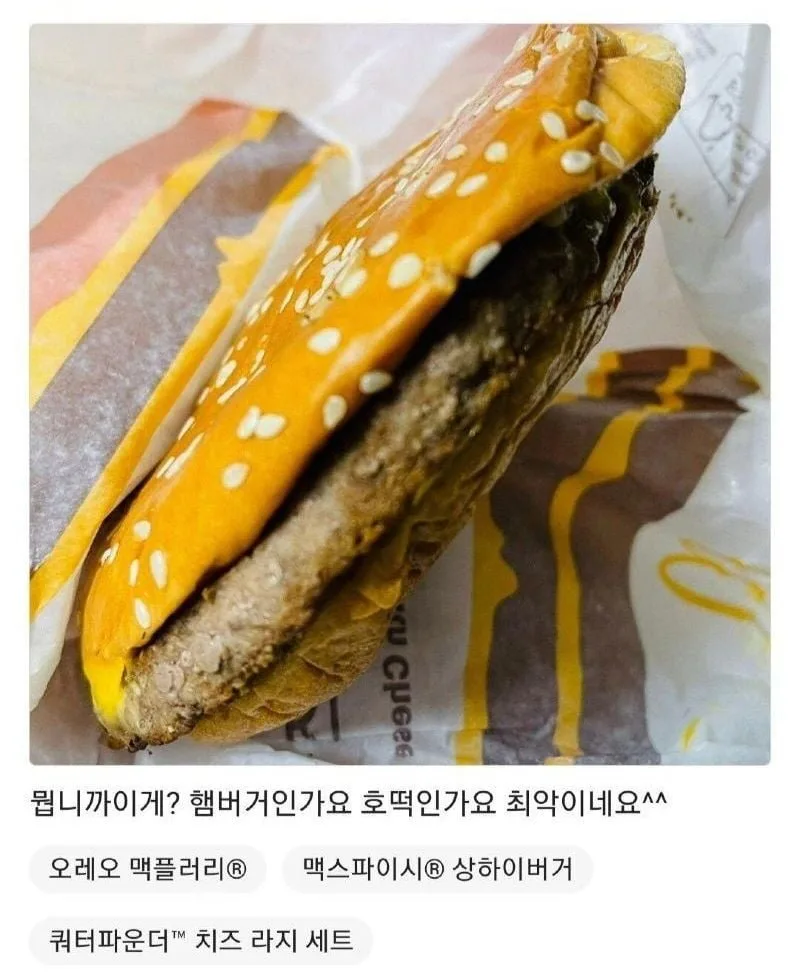 20260220091608_jCChdsHfVI.jpeg