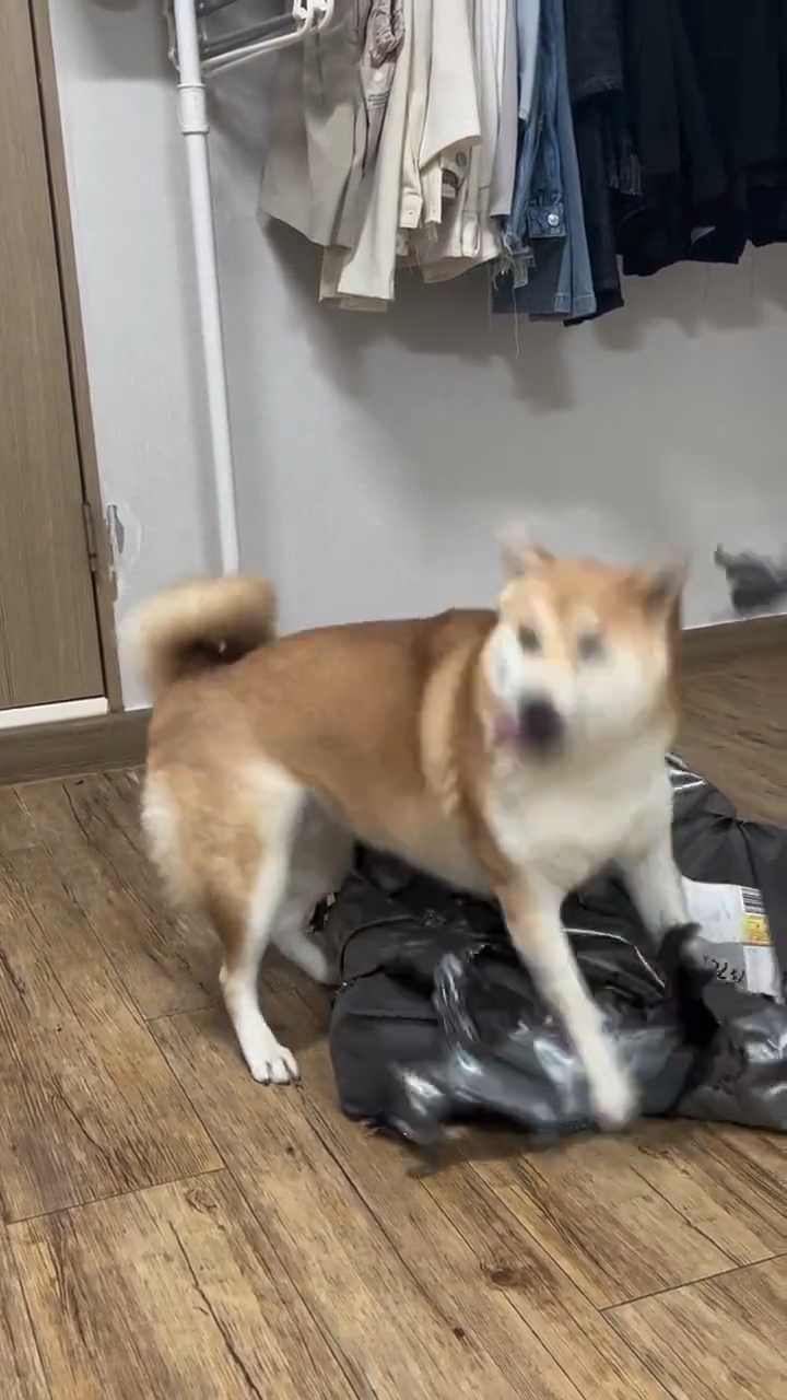 videoframe_7164.png