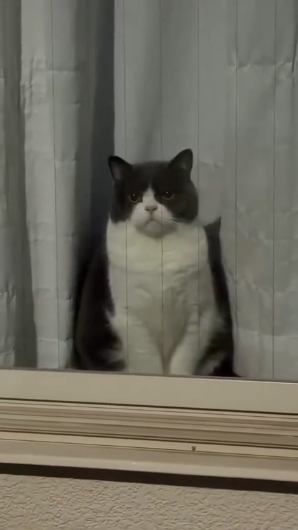 videoframe_8686.png