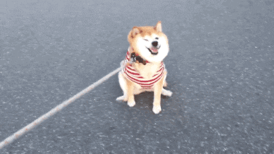 531513.gif