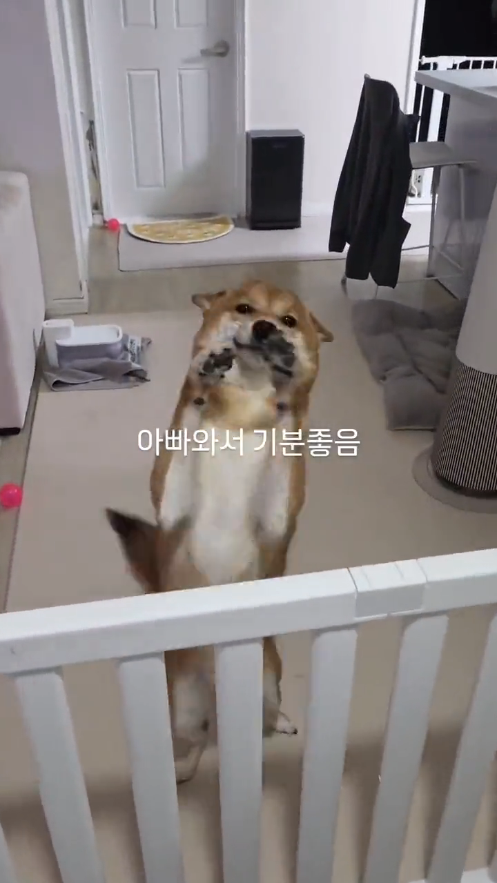 videoframe_7195.png