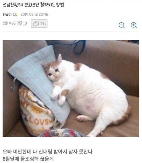4_재밌는짤_재밌는글_모음_3.png