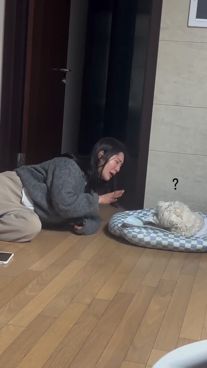 videoframe_12442.png