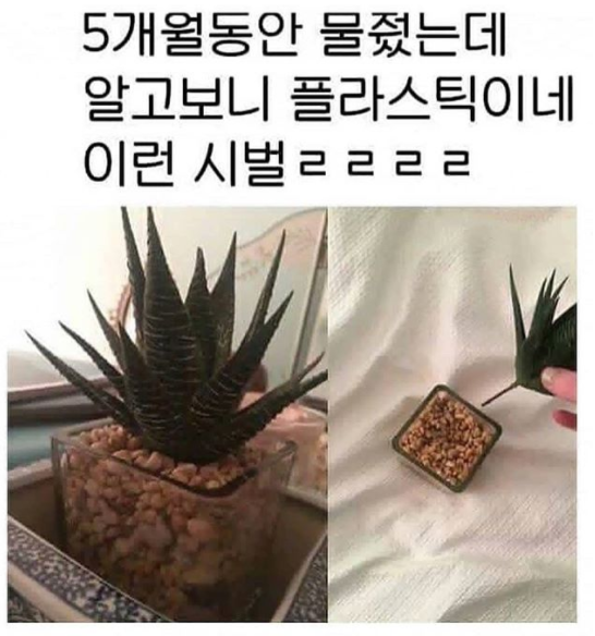 0_트위터글_1.png
