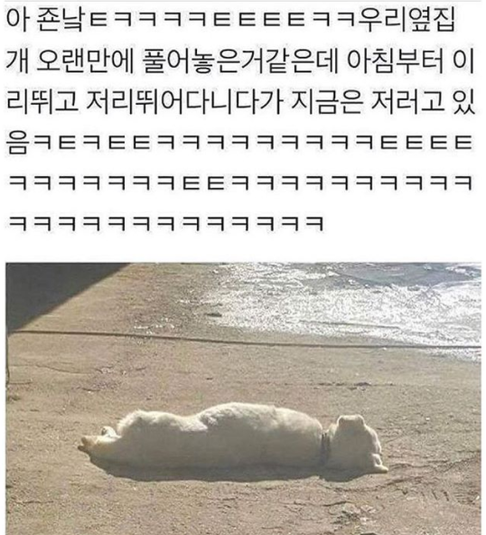 3_재밌는글_모음_3.png
