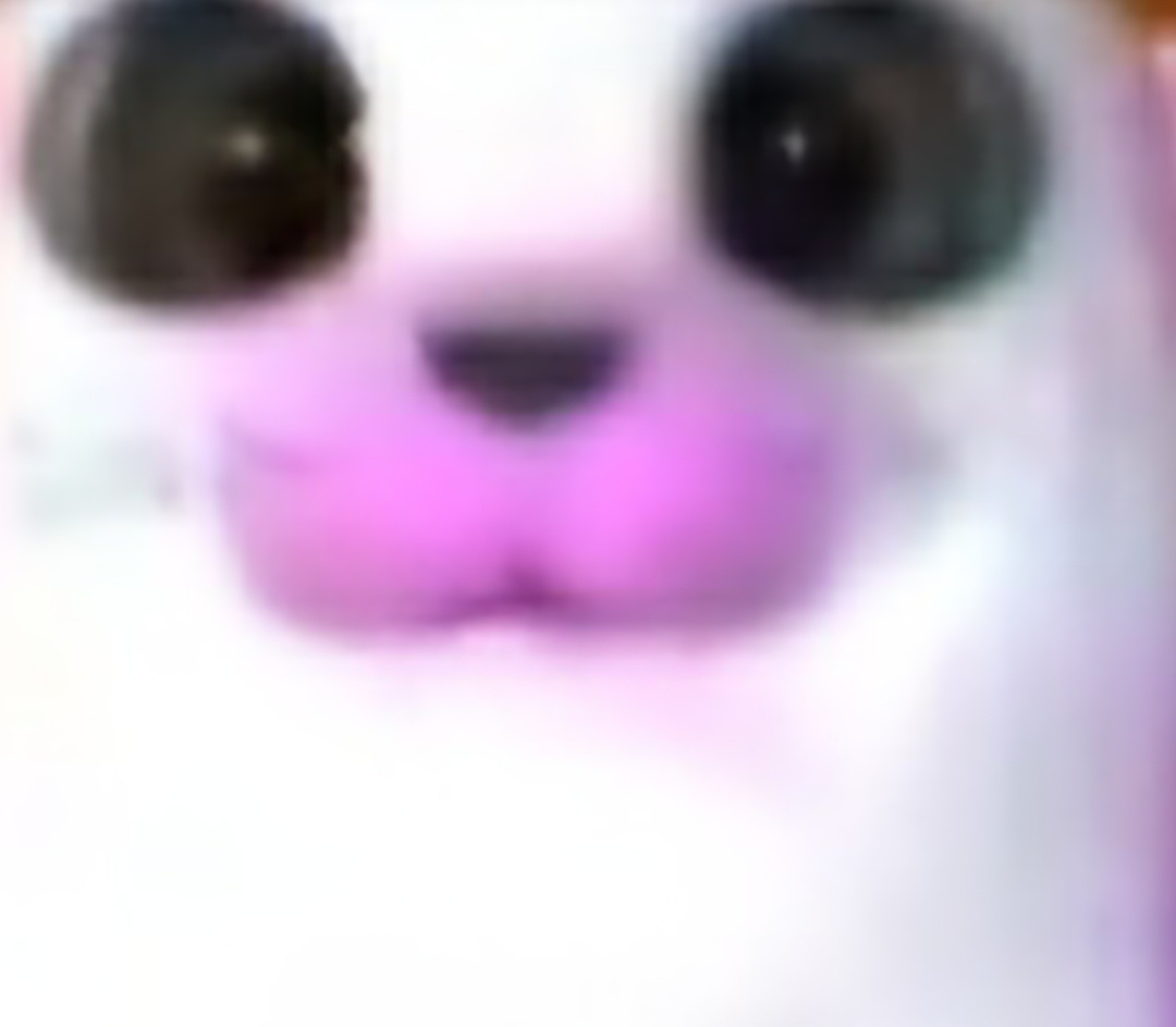 Screenshot_20251017_182014_Gallery.jpg