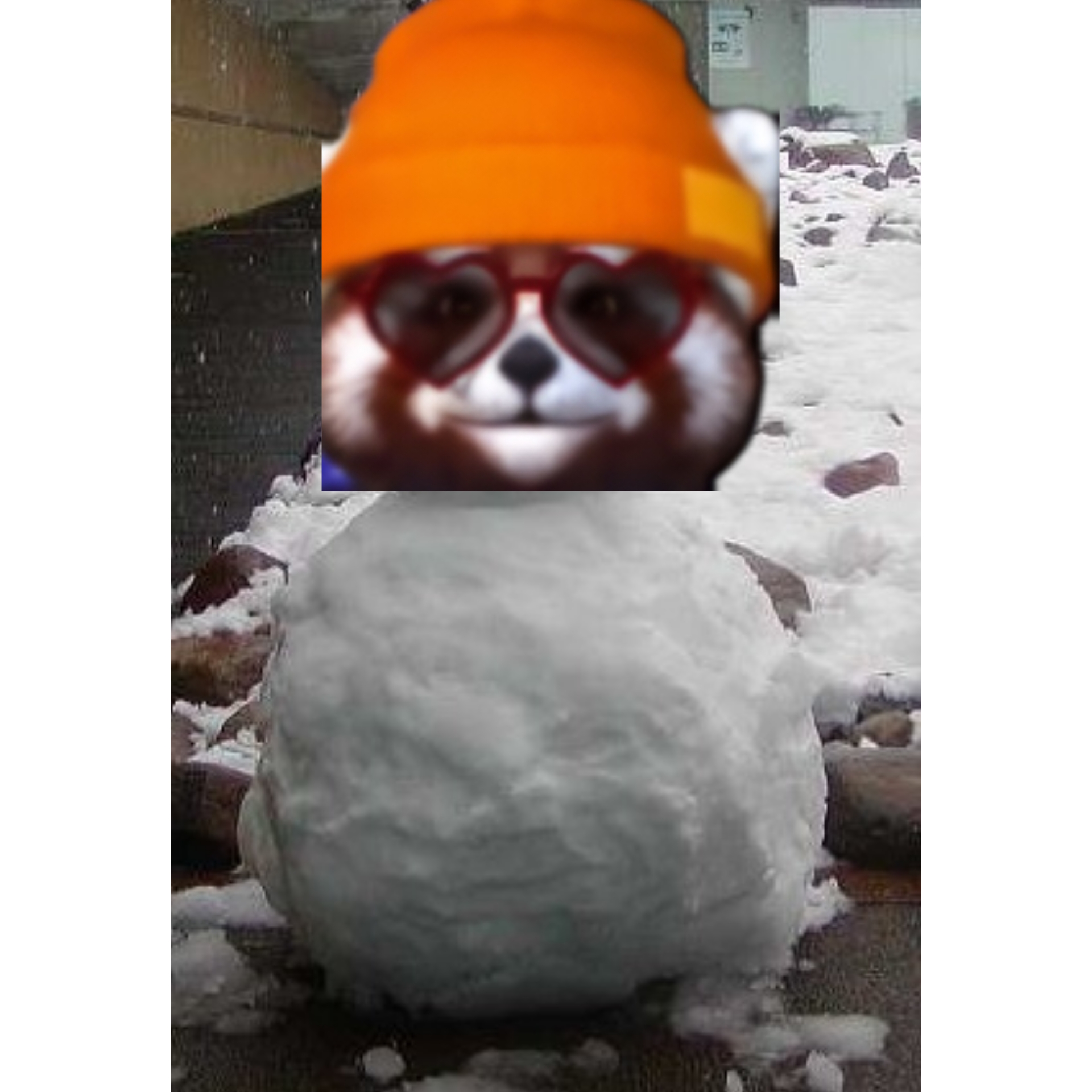 FunPic_20251017_184637291.jpg