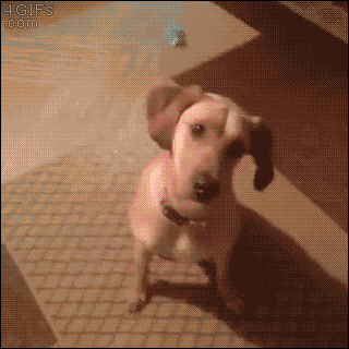 다운로드.gif