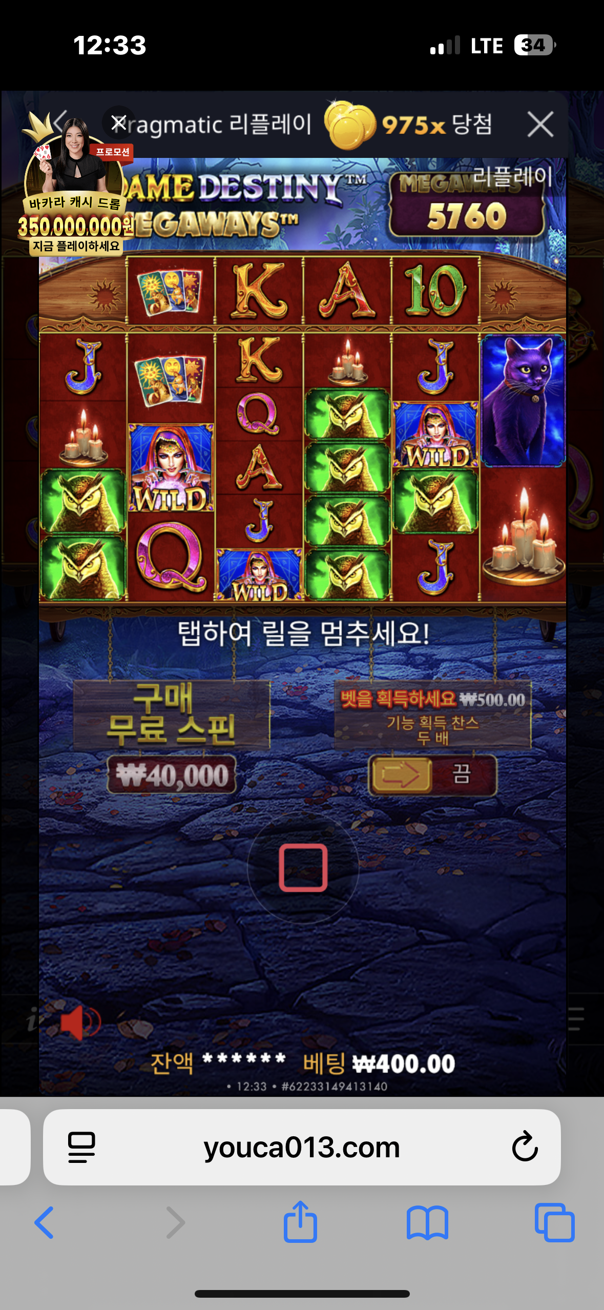 IMG_9495.png