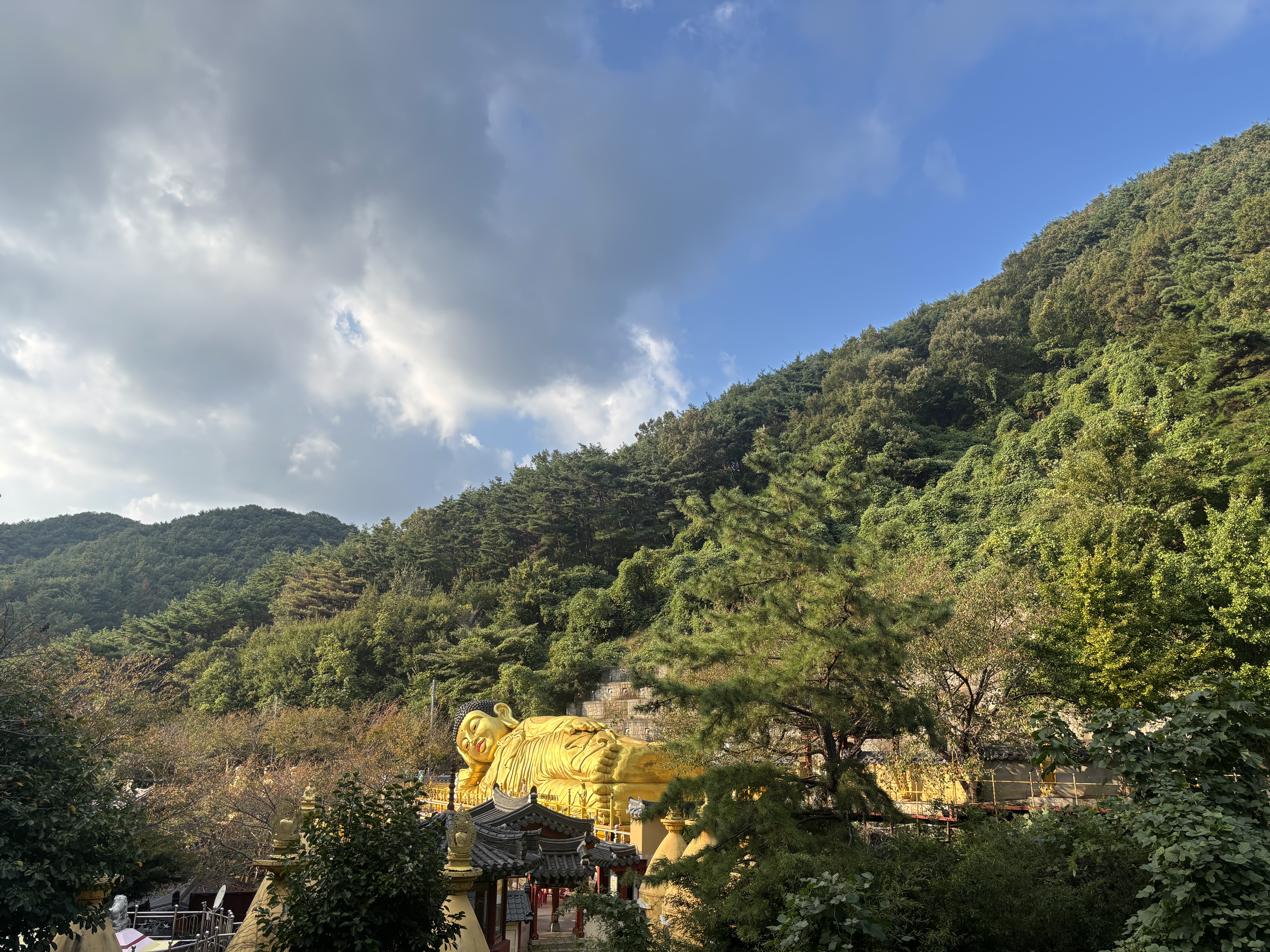 IMG_0201.jpeg
