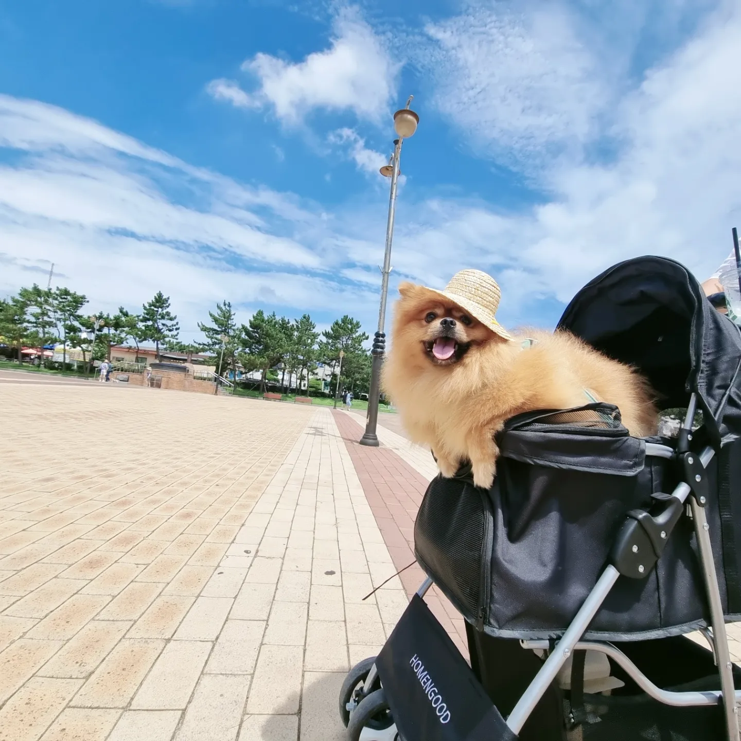 1707917175011.webp