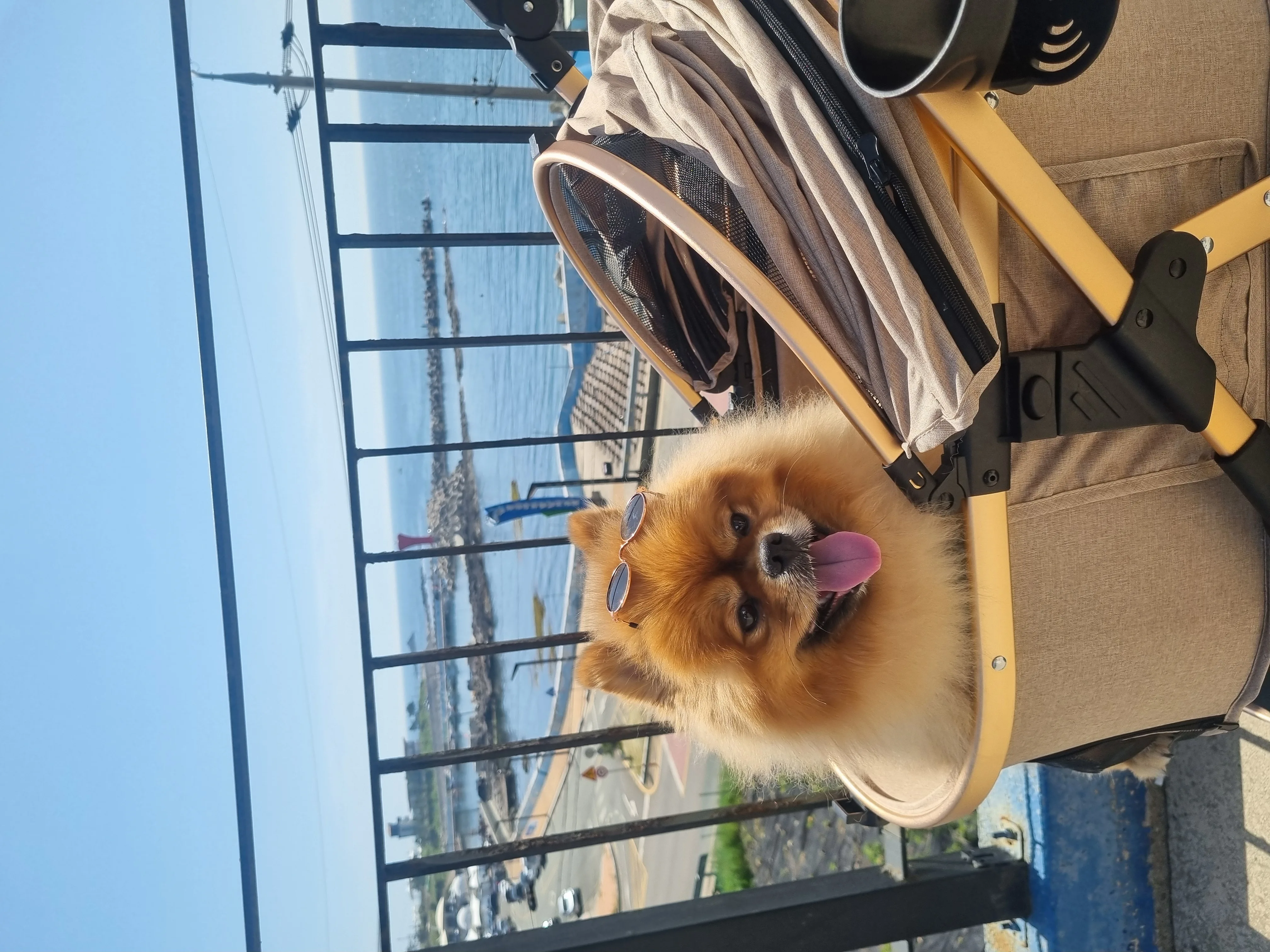 20240519_101822.jpg