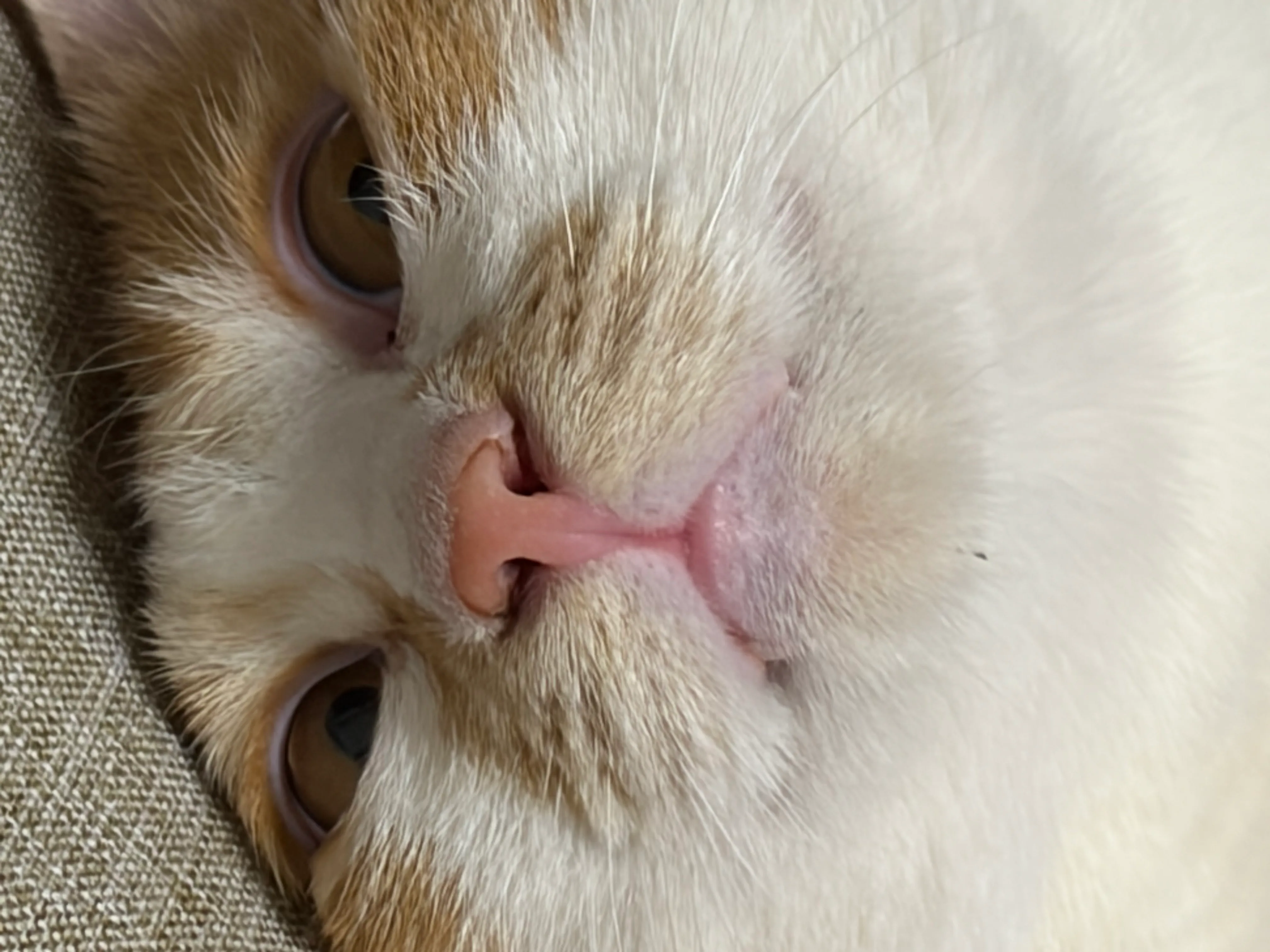 IMG_3692.jpeg