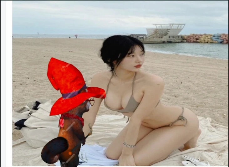 캡처z.PNG