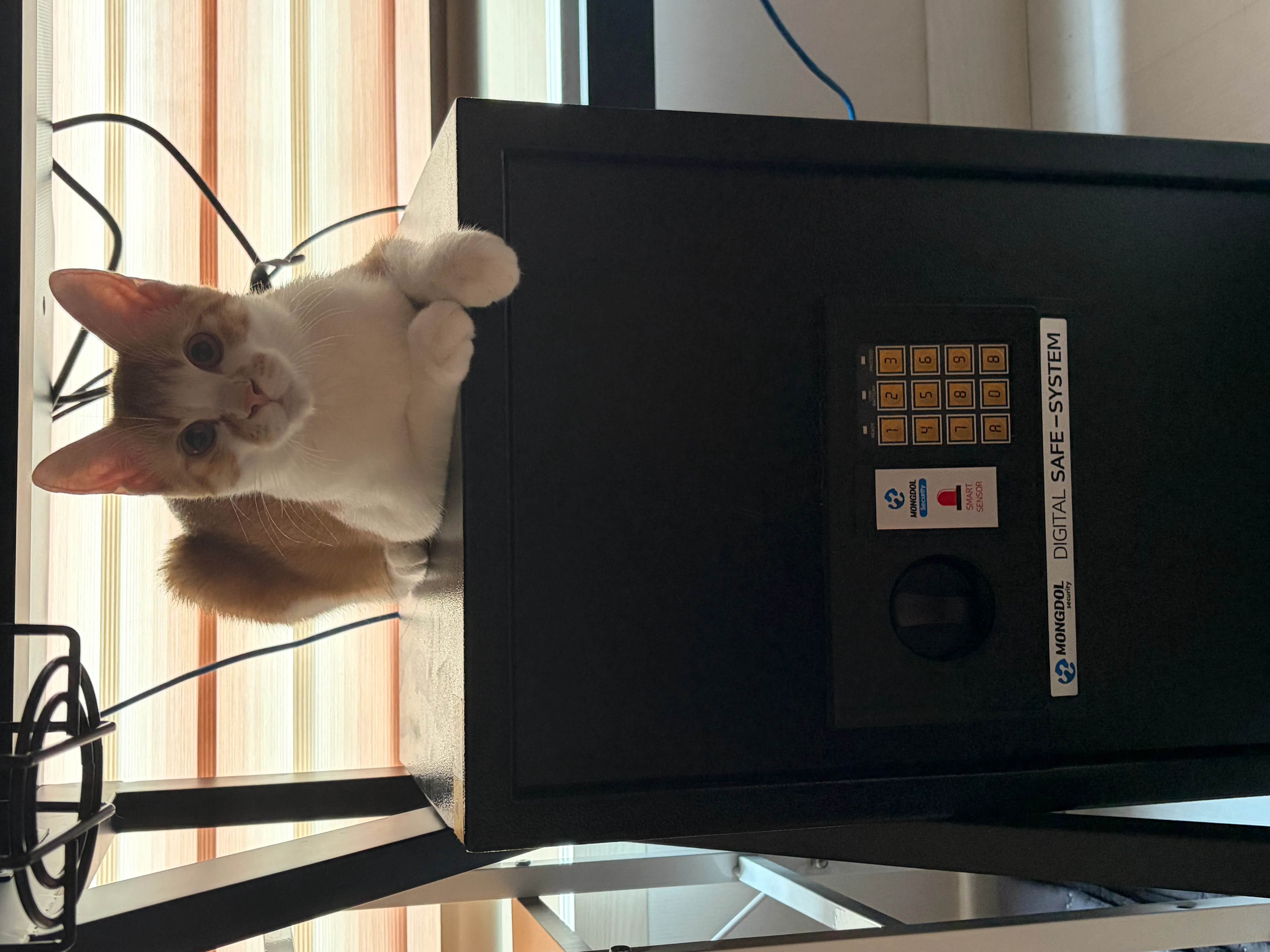 IMG_3270.jpeg
