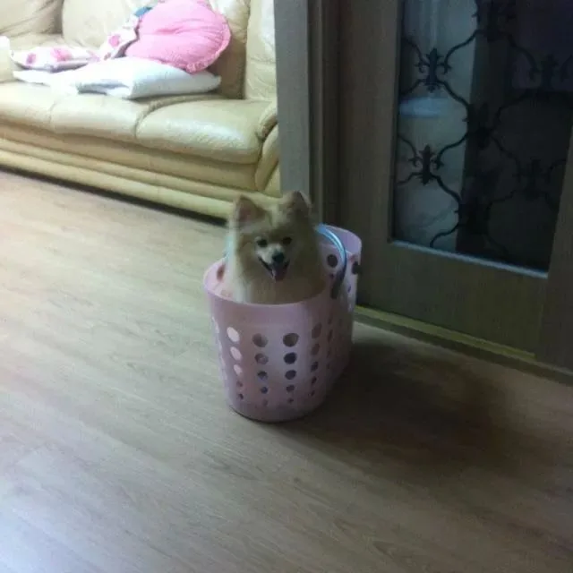 IMG_129471693315364.jpeg