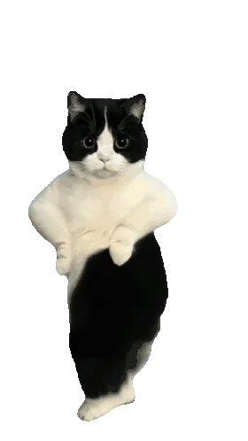 1756651384075.gif