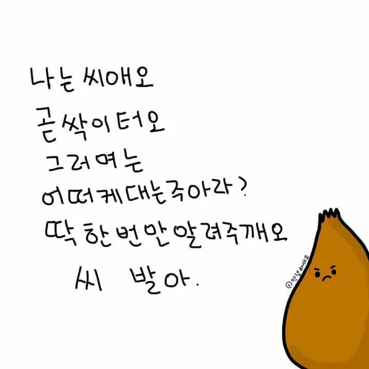 1461621186521.jpg
