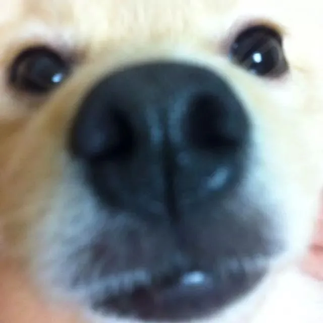 IMG_129671874224658.jpeg