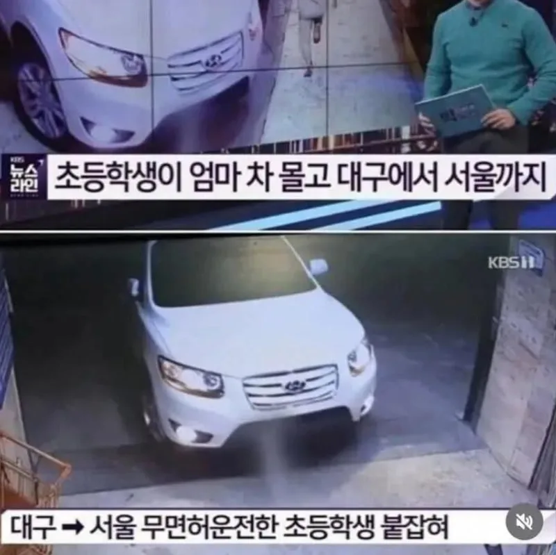 무면허.png